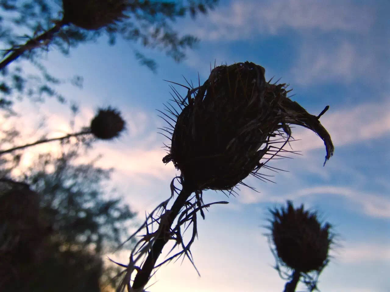 Blue skies and beautiful nature