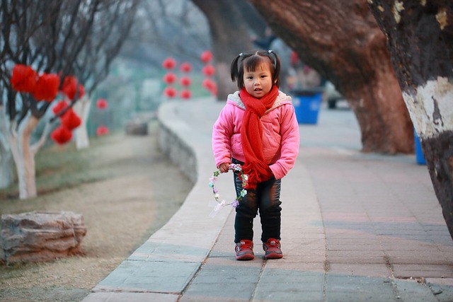 beijing-gfacdd2176_640